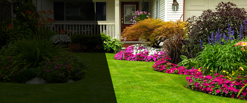 Jamestown Landscapers